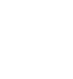 icon-1