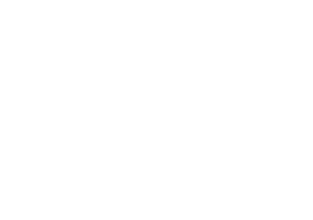 icon-1